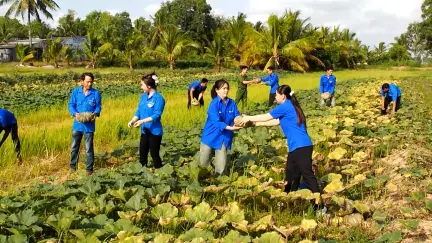 Bản tin trưa 20/3/2026