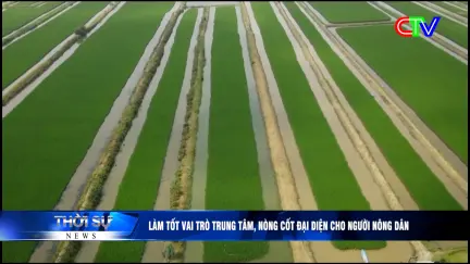 Thời sự tối 24/3/2026