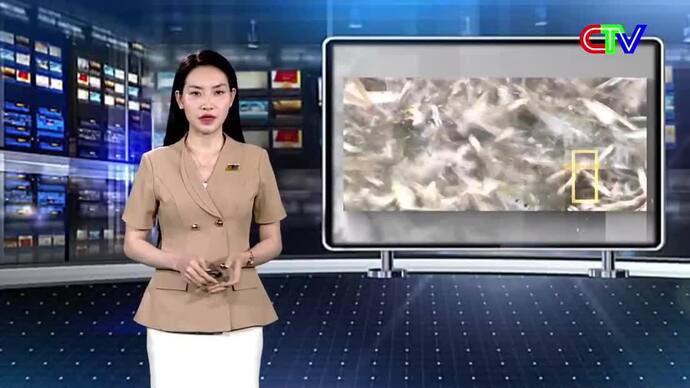 Nhịp sống biển 26/3/2026: Giúp ngư dân ven biển an cư