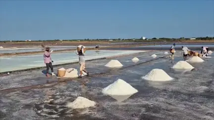 Thời sự tối 03/4/2026