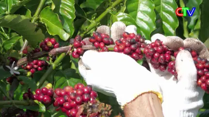 Chuyển động ngày mới 09/4/2026