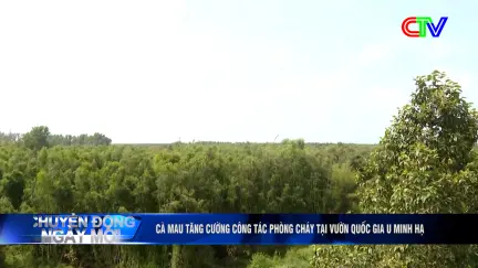 Chuyển động ngày mới 15/4/2026