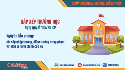 Sắp xếp trường học (Nghị quyết 105/NQ-CP)