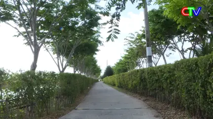 Nông thôn mới 29/4/2026: Phát triển và nhân rộng các mô hình sản xuất có hiệu quả