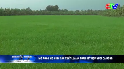 Chuyển động ngày mới 04/5/2026