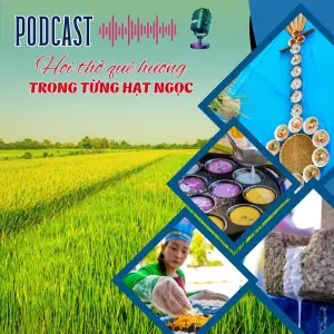 Hơi thở quê hương trong từng hạt ngọc