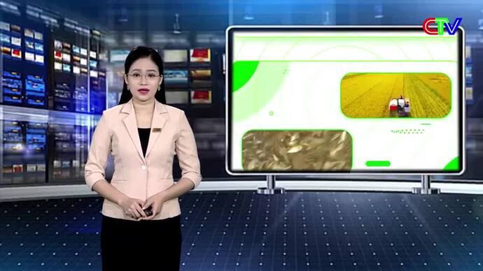 Kinh tế nông nghiệp 09/5/2026: Chăn nuôi gia súc hiệu quả mùa nắng nóng