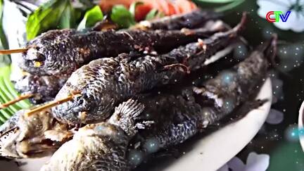 Hương sắc phương nam 09/5/2026: Giữ màu xanh cho đảo Hòn Khoai