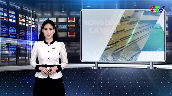Nông dân Cà Mau trên đường hội nhập 17/5/2026: Liên kết chuỗi - Hướng phát triển bền vững