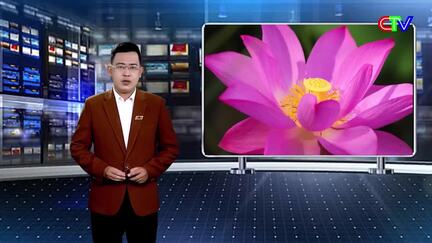 Học tập và làm theo tư tưởng, phong cách Hồ Chí Minh 18/5/2026: Tháng 5 nhớ Bác - Người mãi là ánh sáng của niềm tin
