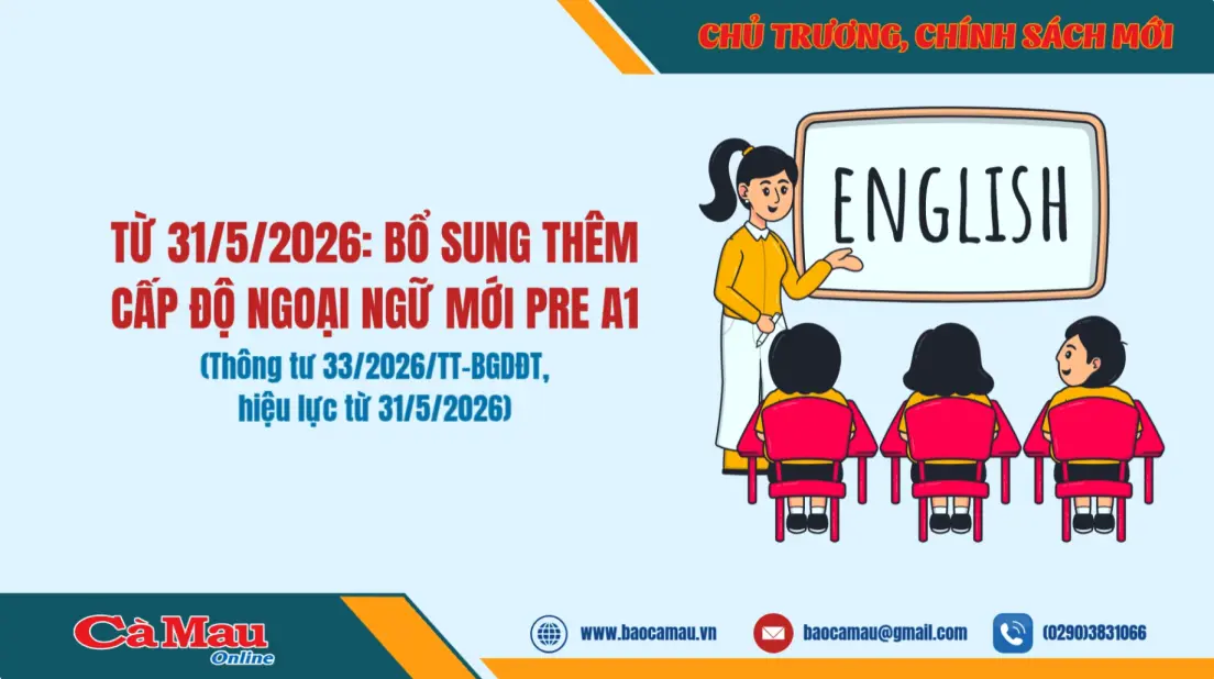 Từ 31/5/2026: Bổ sung thêm cấp độ ngoại ngữ mới Pre A1