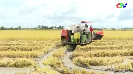 Đưa Nghị quyết Hội đồng nhân dân vào cuộc sống 22/5/2026: Thực hiện Nghị quyết phát triển KT-XH 2026 và giai đoạn 5 năm (2026 - 2030)