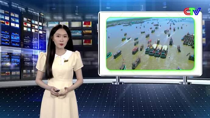 Kinh tế Nông nghiệp 23/5/2026: Hướng dẫn nuôi sò huyết giai đoạn chuyển mùa