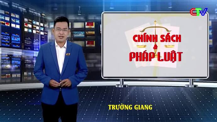 Chính sách pháp luật 29/5/2026: Tăng cường đấu tranh, xử lý hành vi xâm phạm quyền sở hữu trí tuệ