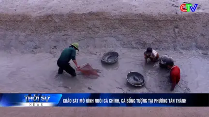Thời sự tối 31/5/2026