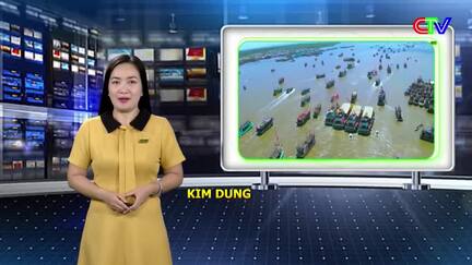 Kinh tế nông nghiệp 06/6/2026: Xuống giống chăm sóc lúa hè thu và sản xuất lúa thông minh