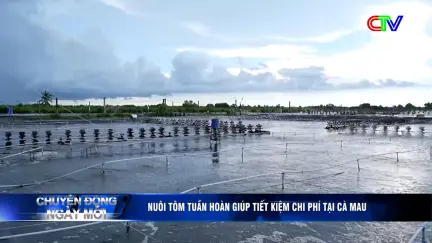 Chuyển động ngày mới 07/6/2026