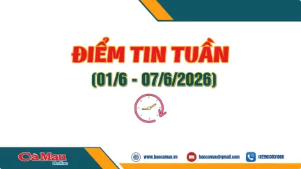 Điểm tin tuần từ ngày 1/6 - 7/6