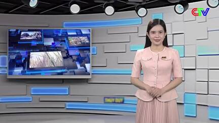Bản tin thị trường 09/6/2026