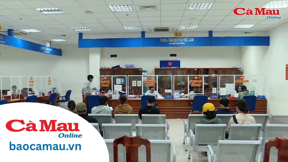 Chuyên đề BHXH kỳ 1 tháng 6