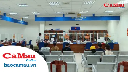 Chuyên đề BHXH kỳ 1 tháng 6
