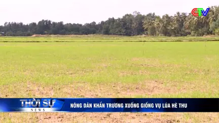 Bản tin trưa 13/6/2026
