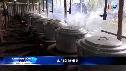 Chuyển động ngày mới 17/6/2026