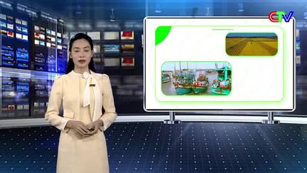 Kinh tế Nông nghiệp 20/6/2026: Khuyến cáo sử dụng tôm giống chất lượng, có kiểm dịch