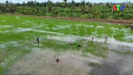 Kinh tế & Hội nhập 24/6/2026: Phát huy vai trò kinh tế tập thể trong sản xuất và xuất khẩu hàng hóa nông sản