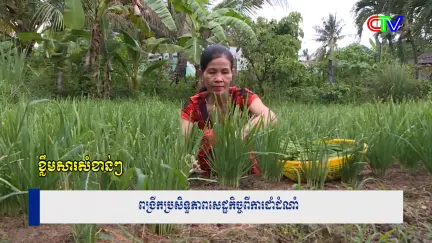 Chương trình tiếng Khmer 24/6/2026