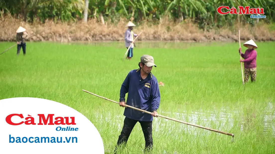 Tuân thủ lịch thời vụ giảm rủi ro trong sản xuất