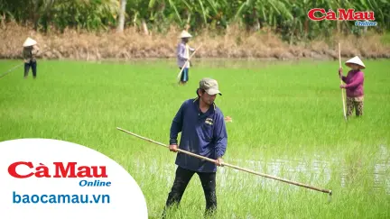 Tuân thủ lịch thời vụ giảm rủi ro trong sản xuất