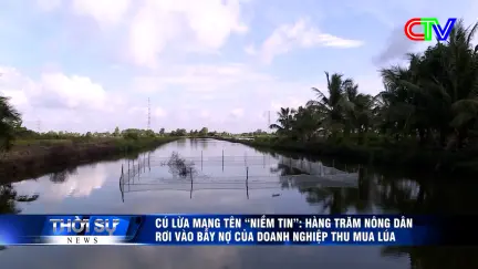 Thời sự tối 10/7/2026