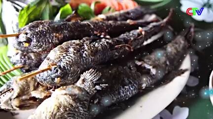 Hương sắc phương Nam 18/7/2026: Hương nhãn đất Giồng