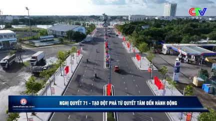 Giáo dục Cà Mau 19/7/2026: Nghị quyết 71 - Tạo đột phá từ quyết tâm đến hành động