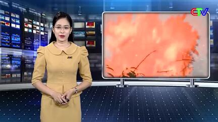 Phòng, chống thiên tai 21/7/2026: Chủ động ứng phó thiên tai trên biển