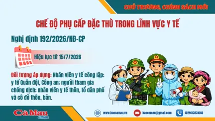 Chế độ phụ cấp đặc thù trong lĩnh vực y tế