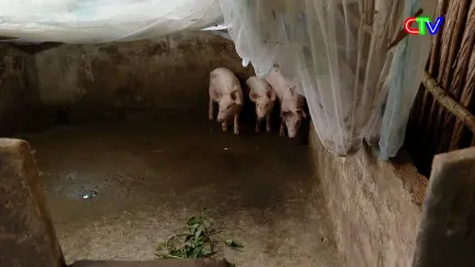 Thông tin chính sách 25/7/2026: Hỗ trợ đa dạng sinh kế cho nông dân