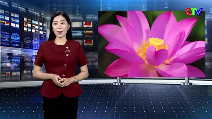Học tập và làm theo tư tưởng, đạo đức, phong cách Hồ Chí Minh 27/7/2026: Bảo vệ nền tảng tư tưởng của Đảng: Trí tuệ - Niềm tin