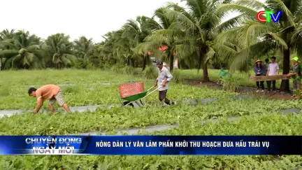 Chuyển động ngày mới 31/7/2026