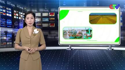 Kinh tế nông nghiệp 01/8/2026: Tiếp tục duy trì các mô hình sản xuất lúa giảm chi phí