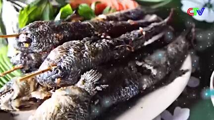 Hương sắc phương Nam 01/8/2026: Khu bảo tồn biển Cà Mau gìn giữ sự sống giữa trùng khơi