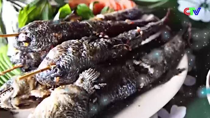 Hương sắc phương Nam 01/8/2026: Khu bảo tồn biển Cà Mau gìn giữ sự sống giữa trùng khơi