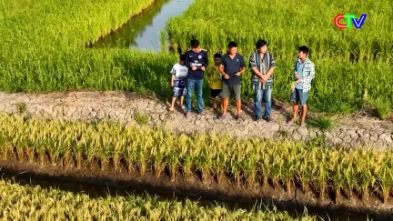 Nông thôn mới 05/8/2026: Thế hệ trẻ viết tiếp câu chuyện nông thôn mới