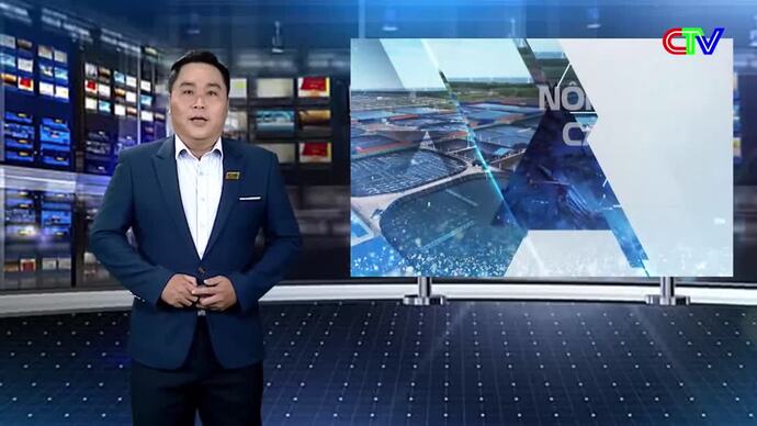 Nông dân Cà Mau trên đường hội nhập 09/8/2026: Khi nông dân cùng nhau làm kinh tế