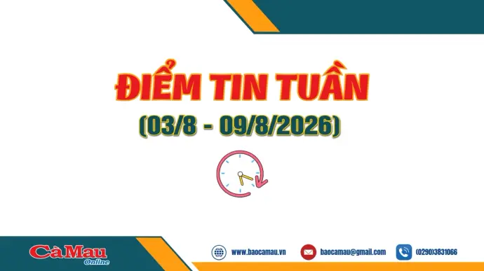 Điểm tin tuần từ ngày 3/8 - 9/8/2026