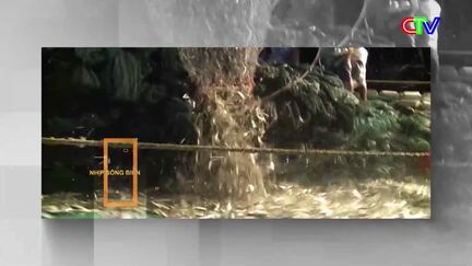 Nhịp sống biển 13/8/2026: Ứng dụng công nghệ trong quản lý ghe tàu
