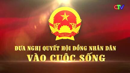Đưa Nghị quyết Hội đồng nhân dân vào cuộc sống 14-8-2026 | Chính sách tiếp sức cho phát triển sản xuất giống nông nghiệp