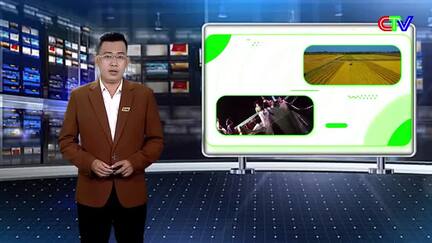 Kinh tế nông nghiệp 15/8/2026: Triển khai đề án phát triển sản phẩm sò huyết