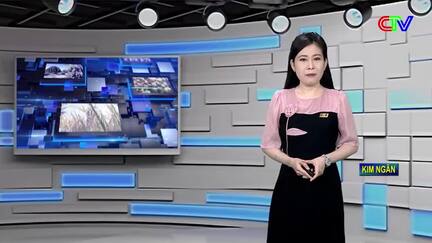 Bản tin thị trường 15/8/2026